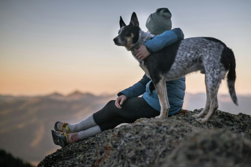 Cattle dog hugging human on cliff after online dog obedience classes