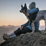 Cattle dog hugging human on cliff after online dog obedience classes