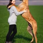 Professional dog trainer teaching through virtual class