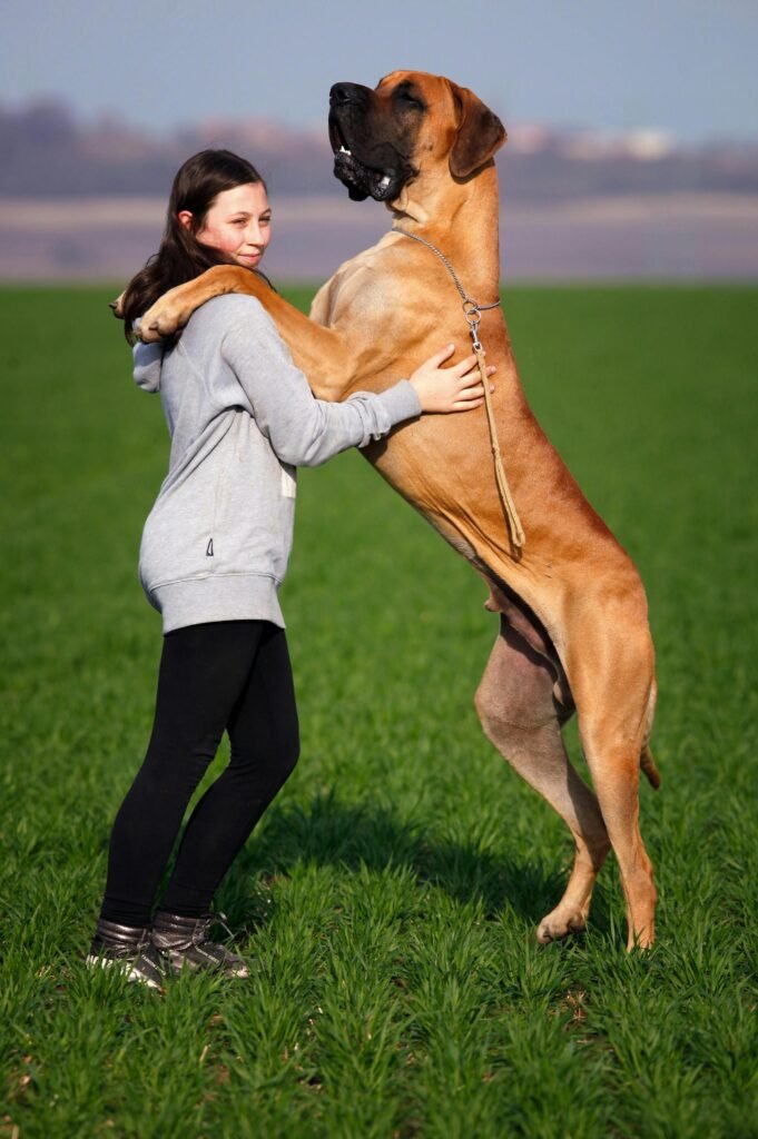 Professional dog trainer teaching through virtual class